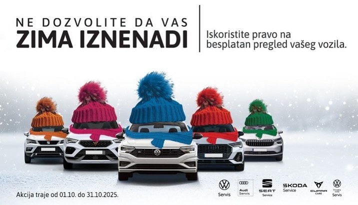 Zimski servis