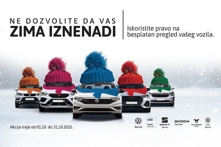 Zimski servis